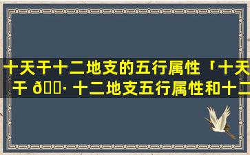 十天干十二地支的五行属性「十天干 🌷 十二地支五行属性和十二 🐬 生肖」